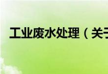 工業(yè)廢水處理（關(guān)于工業(yè)廢水處理的介紹）