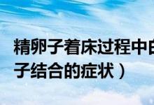精卵子著床過程中白帶有什么癥狀（精子和卵子結合的癥狀）