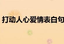 打動(dòng)人心愛情表白句子（最浪漫的表白話語）