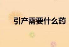 引產(chǎn)需要什么藥（引產(chǎn)需要什么證明）