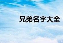 兄弟名字大全（兄弟網名有哪些）