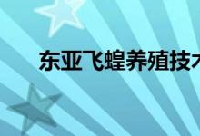 東亞飛蝗養(yǎng)殖技術(shù)（這里有詳細(xì)說明）