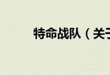 特命戰(zhàn)隊（關于特命戰(zhàn)隊的介紹）