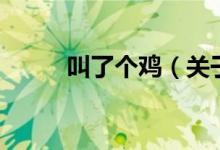 叫了個雞（關(guān)于叫了個雞的介紹）