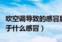 吹空調(diào)導致的感冒屬于什么感冒（空調(diào)感冒屬于什么感冒）