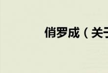 俏羅成（關(guān)于俏羅成的介紹）