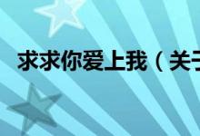 求求你愛(ài)上我（關(guān)于求求你愛(ài)上我的介紹）