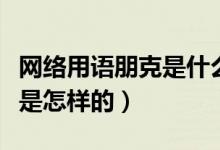 網(wǎng)絡(luò)用語朋克是什么意思（音樂中的朋克風(fēng)格是怎樣的）