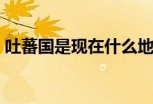 吐蕃國是現在什么地方（吐蕃國位于現在哪）