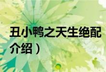 丑小鴨之天生絕配（關(guān)于丑小鴨之天生絕配的介紹）