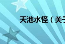天池水怪（關(guān)于天池水怪的介紹）