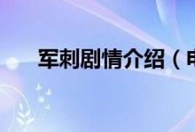 軍刺劇情介紹（電視劇軍刺劇情介紹）