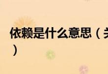 依賴是什么意思（關(guān)于依賴是什么意思的介紹）