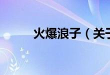 火爆浪子（關(guān)于火爆浪子的介紹）