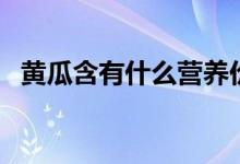 黃瓜含有什么營(yíng)養(yǎng)價(jià)值（黃瓜的營(yíng)養(yǎng)價(jià)值）