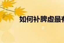 如何補脾虛最有效（如何補脾虛）