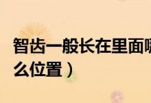 智齒一般長(zhǎng)在里面哪個(gè)位置（智齒一般長(zhǎng)在什么位置）