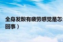 全身發(fā)酸有疲勞感覺是怎么回事（身體感覺很疲倦很累怎么回事）