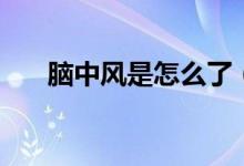 腦中風是怎么了（腦中風是怎么回事）