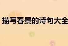 描寫(xiě)春景的詩(shī)句大全（盤(pán)點(diǎn)描寫(xiě)春景的詩(shī)句）