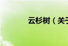 云杉樹(shù)（關(guān)于云杉樹(shù)的介紹）
