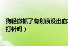 狗輕微抓了有劃痕沒出血怎么辦（狗抓沒出血但有點(diǎn)劃痕要打針嗎）