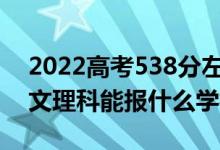 2022高考538分左右能上哪些大學(xué)（新高考文理科能報什么學(xué)校）