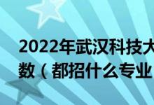 2022年武漢科技大學(xué)各省招生計(jì)劃及招生人數(shù)（都招什么專業(yè)）