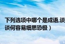 下列選項中哪個是成語,談何容易細思恐極（下列哪個是成語談何容易細思恐極）