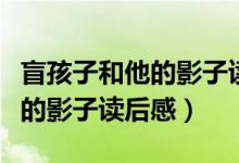 盲孩子和他的影子讀后感（怎么寫盲孩子和他的影子讀后感）