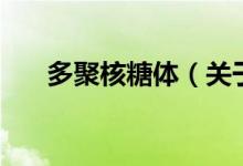 多聚核糖體（關(guān)于多聚核糖體的介紹）