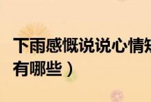 下雨感慨說說心情短句（表達(dá)雨天心情的句子有哪些）