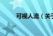 可視人流（關于可視人流的介紹）