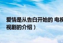 愛情是從告白開始的 電視?。P(guān)于愛情是從告白開始的 電視劇的介紹）