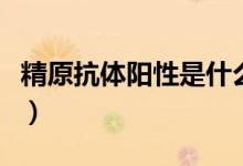 精原抗體陽性是什么意思（精原抗體怎么回事）