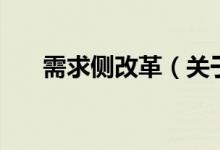 需求側(cè)改革（關(guān)于需求側(cè)改革的介紹）