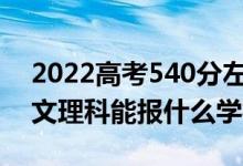 2022高考540分左右能上哪些大學(xué)（新高考文理科能報什么學(xué)校）