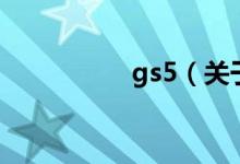 gs5（關(guān)于gs5的介紹）