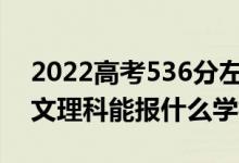 2022高考536分左右能上哪些大學（新高考文理科能報什么學校）