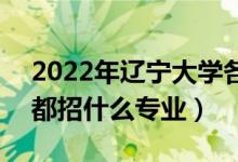 2022年遼寧大學(xué)各省招生計劃及招生人數(shù)（都招什么專業(yè)）