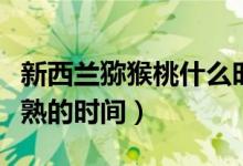 新西蘭獼猴桃什么時候成熟（新西蘭獼猴桃成熟的時間）