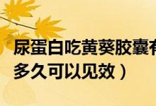 尿蛋白吃黃葵膠囊有用嗎（尿蛋白吃黃葵膠囊多久可以見(jiàn)效）