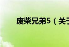 廢柴兄弟5（關于廢柴兄弟5的介紹）
