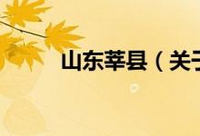 山東莘縣（關(guān)于山東莘縣的介紹）