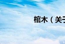 棺木（關于棺木的介紹）
