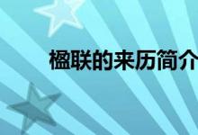 楹聯(lián)的來歷簡介（楹聯(lián)的起源介紹）