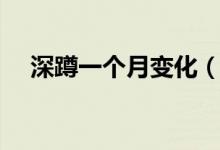 深蹲一個(gè)月變化（深蹲一個(gè)月后的變化）