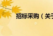 招標采購（關(guān)于招標采購的介紹）