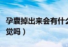 孕囊掉出來會(huì)有什么感覺（孕囊掉出來會(huì)有感覺嗎）