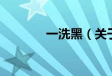 一洗黑（關于一洗黑的介紹）